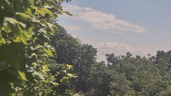Weather camera view of Good Shepherd Catholic Montessori.