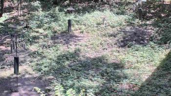 Weather camera view of Cincinnati Nature Center.